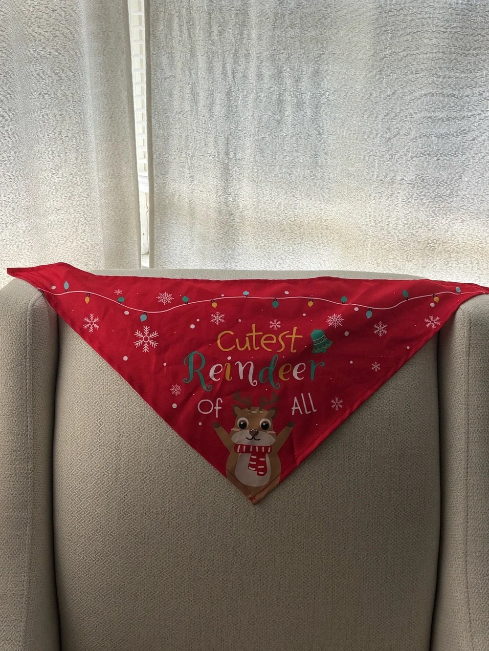Pet’s Red 'Cutest Reindeer of All' Holiday Bandana